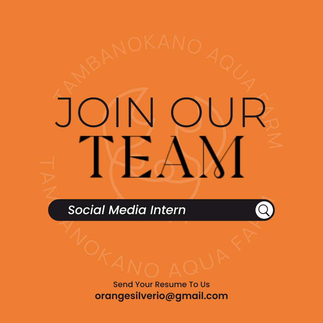 Social Media Intern (with Content Creation Skills)