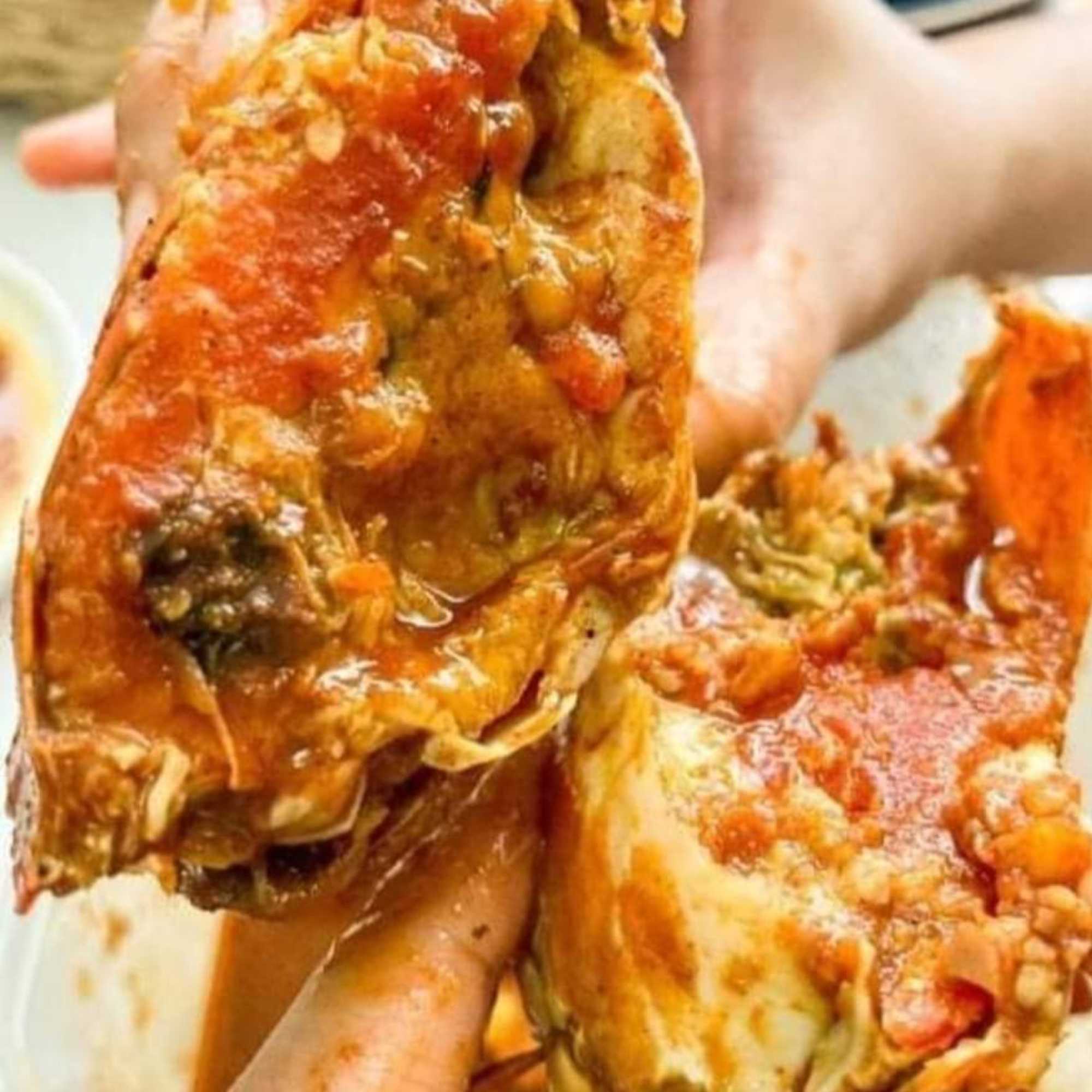MEGA LIVE CRABS (XL 400-500 GRAMS 2 PIECES) - Tambanokano Aqua Farm