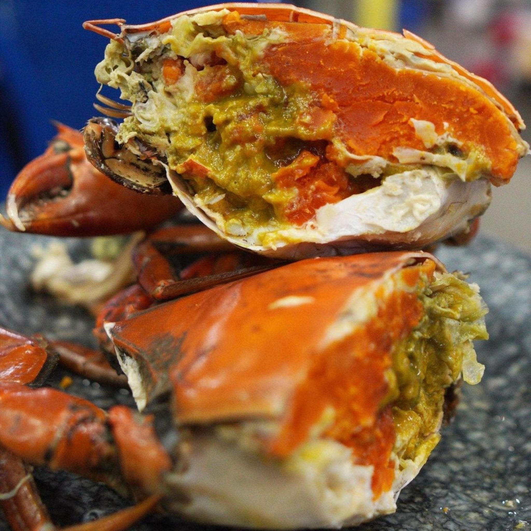 MEGA LIVE CRABS (XL 400-500 GRAMS 2 PIECES) - Tambanokano Aqua Farm